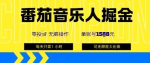 番茄音乐人掘金，单账号最高可撸1k+，可无限矩阵去做，零投入-爱找项目网