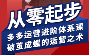 海神·拼多多运营进阶系统课(更新9月)-爱找项目网