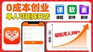 拼多多虚拟电商，0成本，单人可矩阵开店，轻松月入3W+-爱找项目网