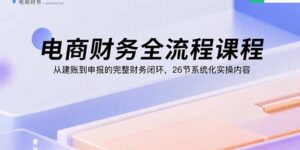 电商财务全流程课程:从建账到申报的完整财务闭环,26节系统化实操内容-爱找项目网