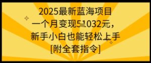 2025最新蓝海项目一个月变现1w+新手小白也能轻松上手【附全套指令】-爱找项目网