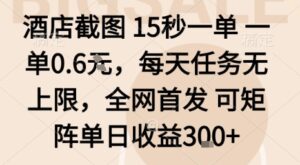 酒店截图15秒一单，一单0.6米，每天任务无上限，全网首发可矩阵单日收益3张【揭秘】-爱找项目网