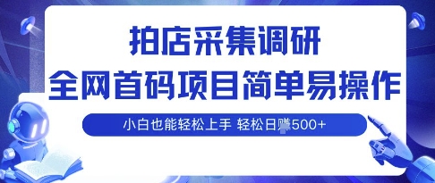 拍店采集调研，全网首码项目，简单易操作， 小白也能轻松上手，多账号操作，轻松日入5张【揭秘】-爱找项目网