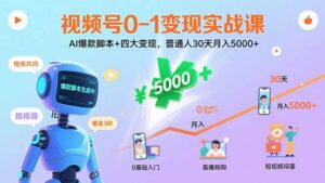 视频号0-1变现实战课：AI爆款脚本+四大变现，普通人30天月入5000+-爱找项目网