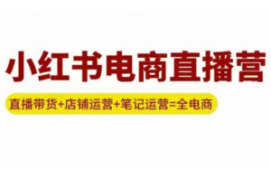 申铭老师·小红书电商直播营(更新)-爱找项目网