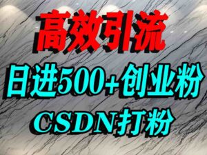 怎么打创业粉？CSDN又一个你不知道的打粉引流神秘平台，单人日引500+精准流量-爱找项目网