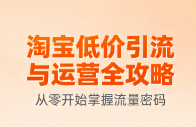 淘宝低价引流与运营全攻略(更新9月)-爱找项目网