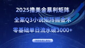 2025撸美金暴利矩阵，全案小说矩阵掘金术，零基础单日流水破3000+-爱找项目网