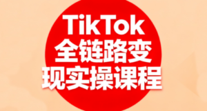 小杨老师·TikTok全链路变现实操课程-爱找项目网