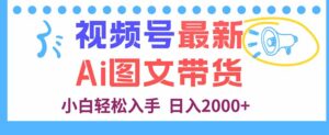 视频号最新AI图文带货，每天几分钟，小白轻松入手，日入2000+-爱找项目网