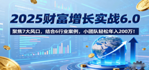2025财富增长实战6.0，聚焦7大风口，结合6行业案例，小团队轻松年入200万！-爱找项目网