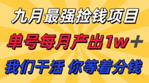 九月最强捡钱项目！ 支付宝分成代运营，我们干活，你分钱！单号月产1w+-爱找项目网