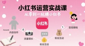 小红书运营实战课，从零到一玩賺小红书-爱找项目网