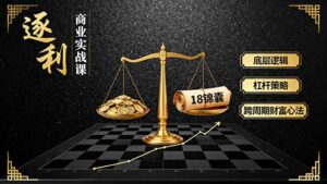 《逐 利》商业实战课，底层逻辑、杠杆策略、18锦囊，跨周期财富心法-爱找项目网