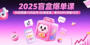 2025盲盒爆单课，抖店搭建+5天起号+私域变现，单月GMV突破10万-爱找项目网