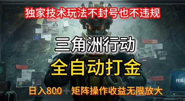三角洲板砖揭秘项目免费送卡密-爱找项目网