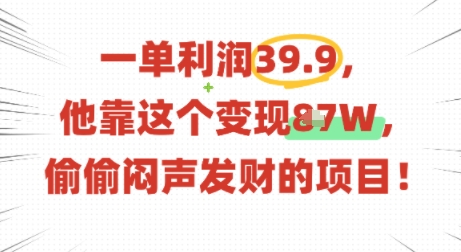 一单利润39.9，有人靠这个变现几十个，偷偷闷声发财的项目-爱找项目网