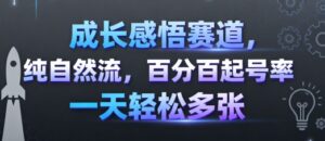 成长感悟赛道，纯自然流，百分百起号率 一天轻松多张-爱找项目网