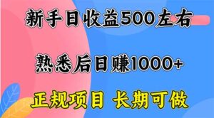 新手日收益500+ 正规项目 长期可做-爱找项目网
