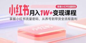 小红书月入1W+变现课程：掌握小红书流量密码，从养号到带货全流程盈利-爱找项目网