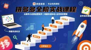 拼多多全阶实战课程，从新手小白到运营高手，海量实战玩法+全年实时更新【2025年9月更新】-爱找项目网