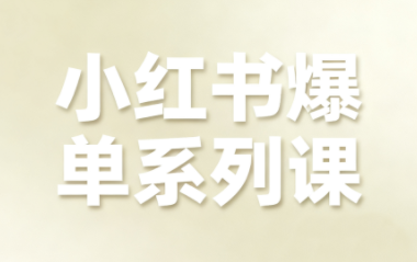 尼采老师·小红书爆单系列课-爱找项目网