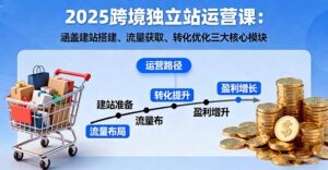 2025跨境独立站运营课：涵盖建站搭建、流量获取、转化优化三大核心模块-爱找项目网