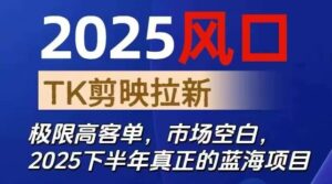 2025风口TK剪映capcut拉新项目，极限高客单，市场空白，2025下半年真正的蓝海项目-爱找项目网