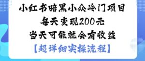 小红书暗黑小众冷门项目每天变现2张当天可能就会有收益-爱找项目网