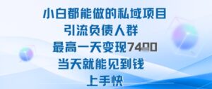 2025年小白都能做的私域项目引流负债人群最高一天变现1k+高变现难度低当天就能见到钱上手快-爱找项目网