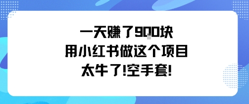 一天挣了9张用小红书做这个项目太牛了，空手套-爱找项目网