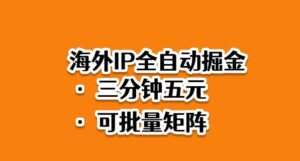 海外ip全自动掘金，2025必做蓝海项目，3分钟落地，矩阵直接开干【揭秘】-爱找项目网