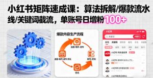 小红书矩阵起号速成课：算法拆解/爆款流水线/关键词截流 单账号日增粉100+-爱找项目网