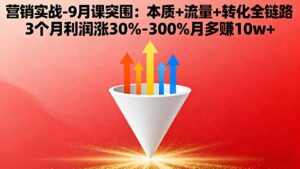 营销实战-9月突围课:本质+流量+转化全链路 3个月利润涨30%-300%月多赚10w+-爱找项目网
