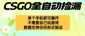 自动挂机捡漏，不用自己挂机不用玩游戏，一个手机即可操作。新手小白轻...-爱找项目网