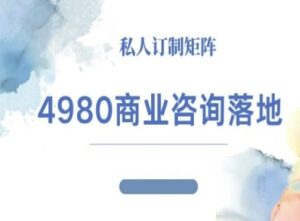 4980商业咨询师落地课程-ip运营高客单教程-爱找项目网