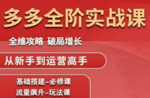 大炮·拼多多全阶实战课程(更新10月)-爱找项目网