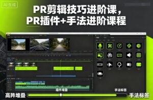 PR剪辑技巧进阶课，PR插件+手法进阶课程-爱找项目网