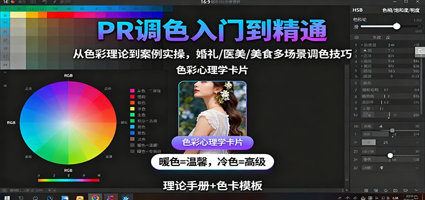 PR调色入门到精通:从色彩理论到案例实操,婚礼/医美/美食多场景调色技巧-爱找项目网