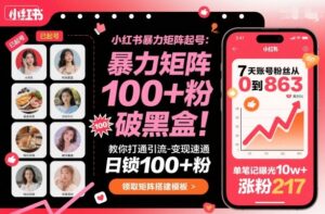 小红书暴力矩阵起号,教你打通引流-变现速通,日锁100+粉,破流量黑盒-爱找项目网