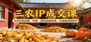 三农IP成交课：从定位到流量、内容，再到拍摄剪辑，打造能变现的IP-爱找项目网
