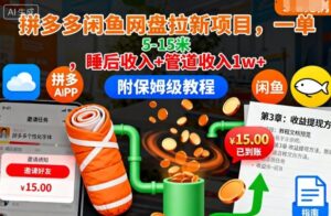 拼多多闲鱼网盘拉新项目，一单5-15米，睡后收入+管道收入1w+(附保姆级教程)-爱找项目网