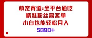萌宠赛道，全平台通吃，精准粉丝高客单，小白也能轻松月入5k-爱找项目网
