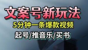 文案号新玩法，5分钟一条爆款视频，流量高，起号快，多方位变现-爱找项目网