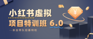 小红书虚拟项目特训班6.0 ，养号/选品/自动发货/爆款笔记(含40节视频课)-爱找项目网
