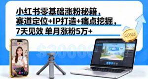 小红书零基础涨粉秘籍，赛道定位+IP打造+痛点挖掘，7天见效 单月涨粉5万+-爱找项目网