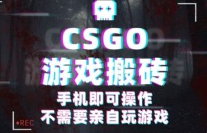 CSGO游戏挂G捡漏，单日扫货5张+，年底小高峰上车可吃肉，手机即可操作，兼职副业创业网创【揭秘】-爱找项目网