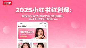 2025小红书红利课：掌握账号定位/爆款内容/变现路径，新手起号30天变现2w+-爱找项目网