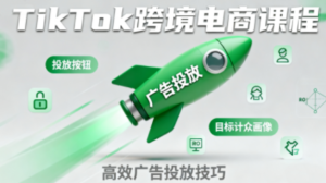 小林哥·TikTok跨境电商全流程实操课-爱找项目网