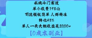 私域冷门赛道:单个收费198米引流模板简单人群精准转化45%单人一天大概收益是1k+-爱找项目网